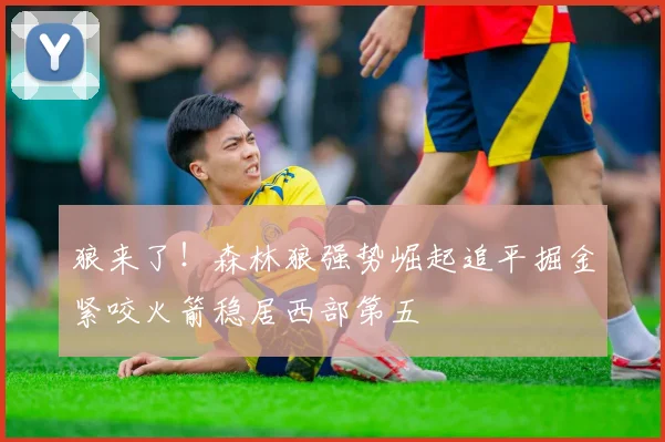 狼来了！森林狼强势崛起追平掘金紧咬火箭稳居西部第五