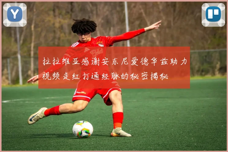 拉拉维亚感谢安东尼爱德华兹助力视频走红打通经脉的秘密揭秘