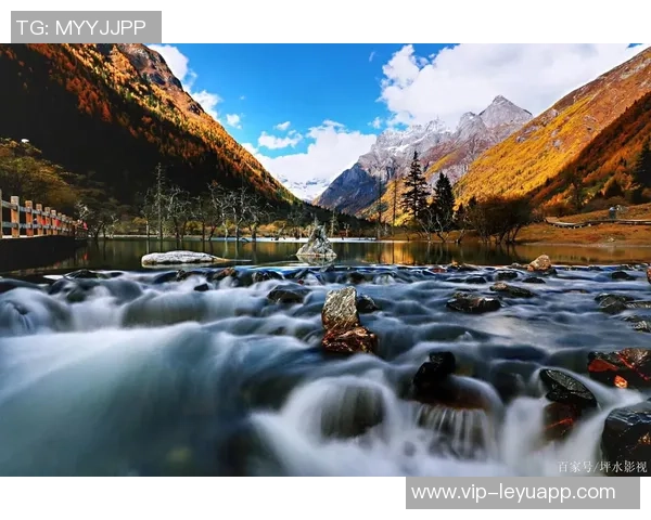 林书豪与家人畅游阿里山共享美丽风景感受大自然的魅力